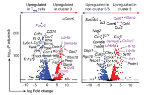 Nature：免疫系統在對抗癌癥的過程中最大的敵人居然是自己！