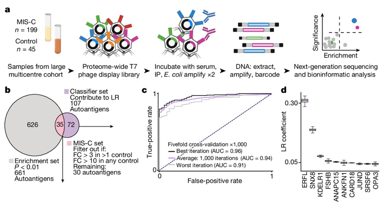 自身抗原將MIS-C與高危對照區分