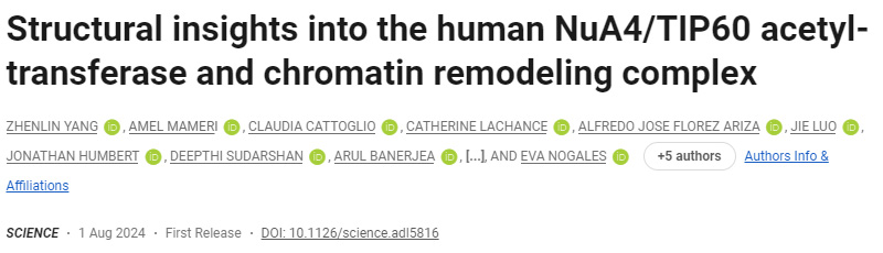人類NuA4/TIP60乙酰轉移酶和染色質重塑復合物的結構見解