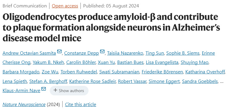 少突膠質細胞在阿爾茨海默病模型小鼠中產生淀粉樣蛋白-β，并與神經元一起促進斑塊形成