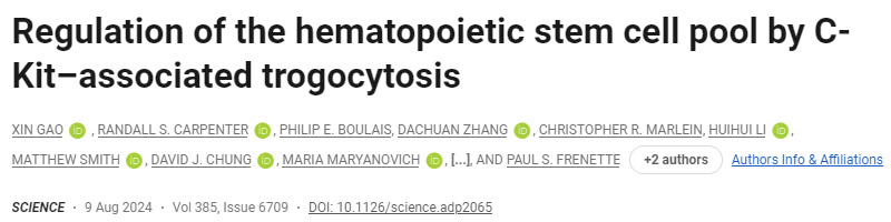 C-Kit相關的吞噬作用對造血干細胞庫的調節