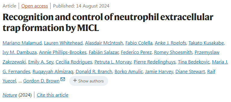 MICL對中性粒細胞胞外陷阱形成的識別和控制