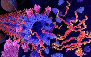 Tau不僅是“壞人”，它還扮演著“好人”的角色，保護我們的大腦