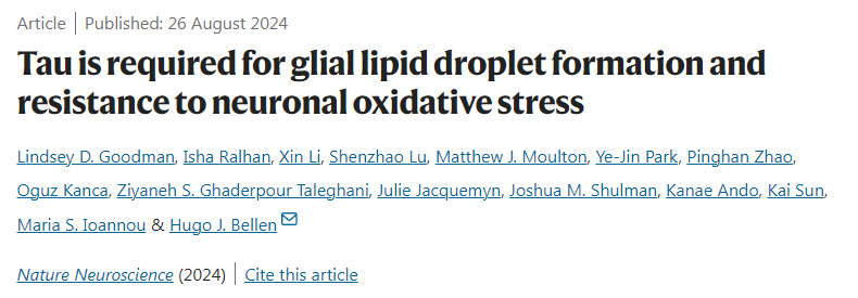 Tau是膠質脂滴形成和抵抗神經元氧化應激所必需的 Tau是膠質脂滴形成和抵抗神經元氧化應激所必需的