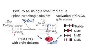 Nature Genetics：驚奇地發現選擇性剪接比蛋白質多樣性更能影響基因表達？