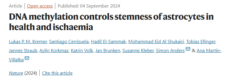 DNA甲基化控制健康和缺血星形膠質細胞的干性 DNA甲基化控制健康和缺血星形膠質細胞的干性