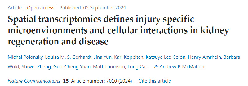 空間轉(zhuǎn)錄組學(xué)定義了腎臟再生和疾病中損傷特異性微環(huán)境和細(xì)胞相互作用
空間轉(zhuǎn)錄組學(xué)定義了腎臟再生和疾病中損傷特異性微環(huán)境和細(xì)胞相互作用