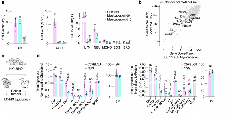 癌癥細胞鞘脂的可用性介導免疫逃避