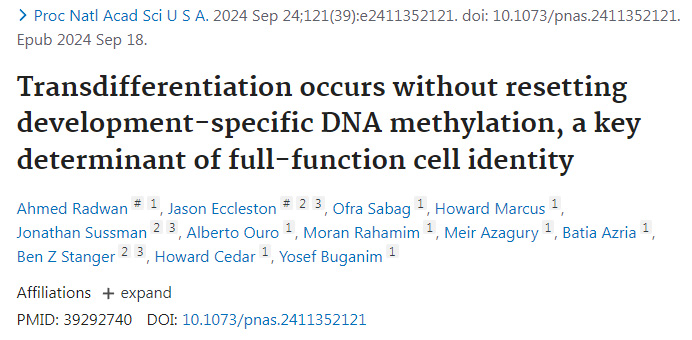 轉分化發生時不會重置發育特異性DNA甲基化是全功能細胞身份的關鍵決定因素
轉分化發生時不會重置發育特異性DNA甲基化是全功能細胞身份的關鍵決定因素