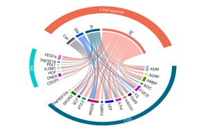 《自然醫學》：一種新的血液測試可以作為兒童糖尿病的早期預警