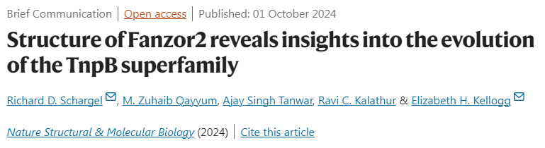 
Fanzor2的結(jié)構(gòu)揭示了TnpB超家族進(jìn)化的見(jiàn)解