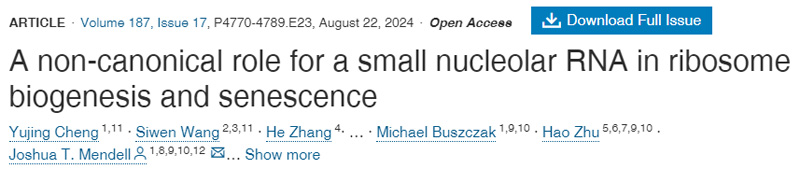 
小核仁RNA在核糖體生物合成和衰老中的非規(guī)范作用