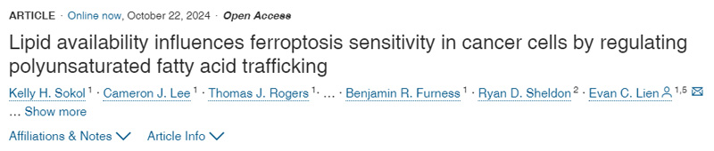 脂質可利用性通過調節多不飽和脂肪酸轉運影響癌癥細胞的脫鐵敏感性 脂質可利用性通過調節多不飽和脂肪酸轉運影響癌癥細胞的脫鐵敏感性