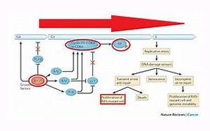 《自然》：突變的RAS開關在癌癥中沒有斷裂，而只是有缺陷