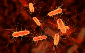 《Nature》腸道中的某些大腸桿菌如何促進結腸癌？