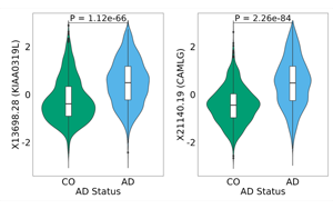 科學家發現了阿爾茨海默病檢測和治療的腦脊液標志物