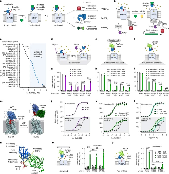 PAGER的設計與優化