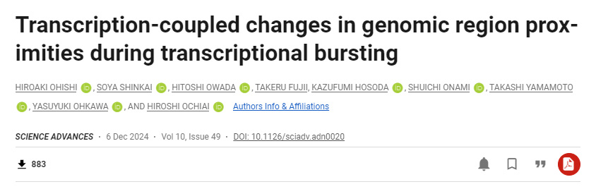 轉(zhuǎn)錄爆發(fā)過程中基因組區(qū)域鄰近性的轉(zhuǎn)錄偶聯(lián)變化