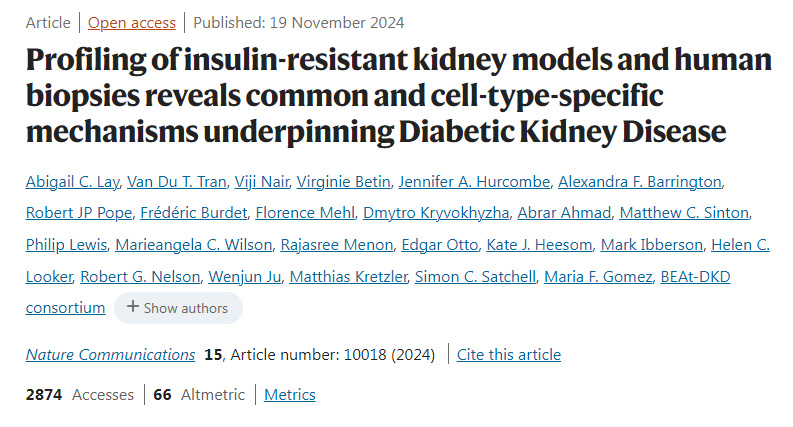 胰島素抵抗腎臟模型和人類活檢的分析揭示了糖尿病腎病的常見和細胞類型特異性機制