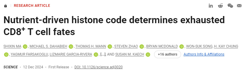 營養驅動的組蛋白編碼決定了疲憊的CD8+T細胞命運
