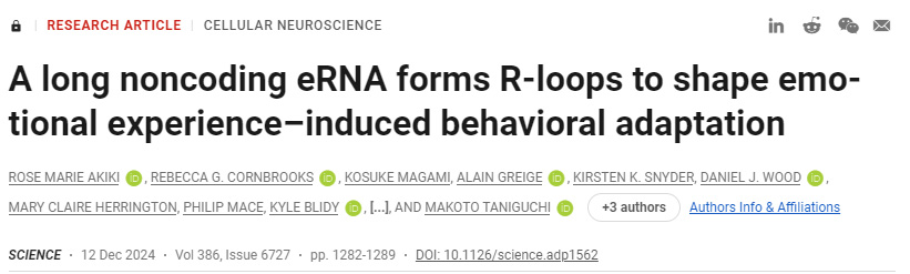 長的非編碼eRNA形成R環，以塑造情緒體驗誘導的行為適應