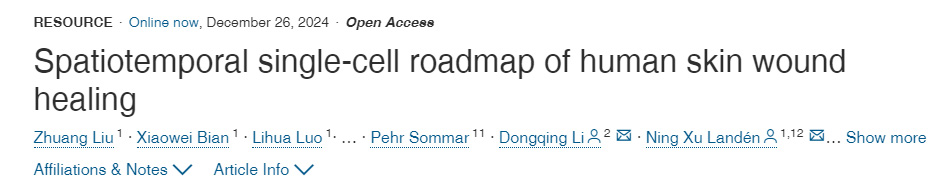 人體皮膚傷口愈合的時空單細胞路線圖