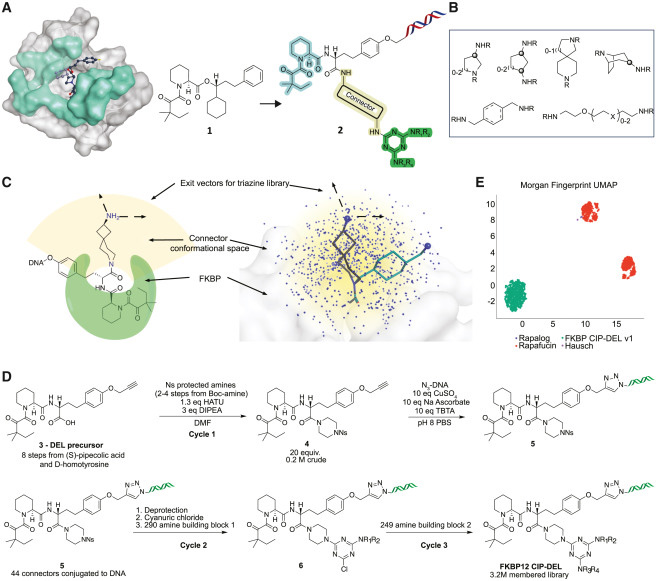 文庫設計與合成 文庫設計與合成