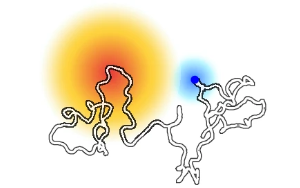 《Nature》解鎖未知分子開關：一種特定蛋白質區域導致乳腺癌