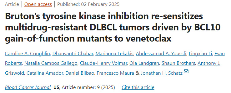 布魯頓酪氨酸激酶抑制使BCL10功能獲得突變體驅動的多藥耐藥DLBCL腫瘤對venetoclax重新敏感