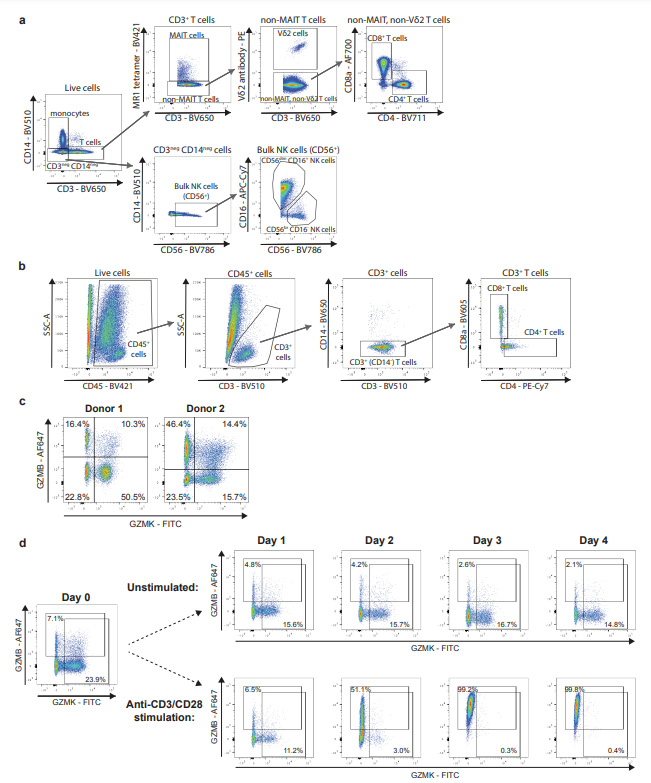 代表性流式細胞術(shù)門控 代表性流式細胞術(shù)門控