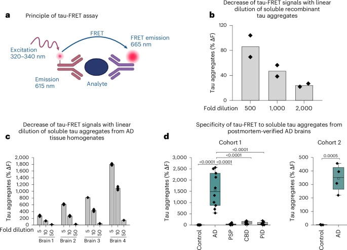 FRET檢測的神經(jīng)病理學驗證，該檢測特異性識別AD中的STA，但不識別其他神經(jīng)退行性tau蛋白路徑