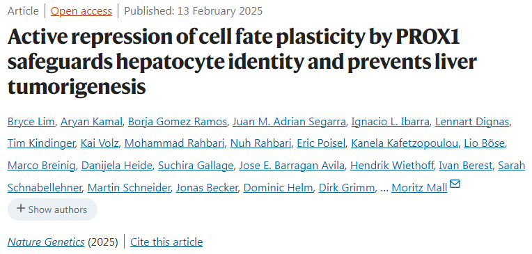 PROX1對細胞命運可塑性的主動抑制保護了肝細胞的身份并預防了肝臟腫瘤的發生