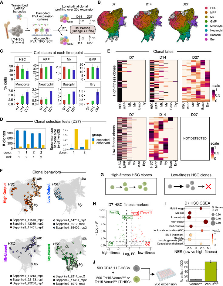 體外造血干細胞擴增培養中的狀態-命運分析 體外造血干細胞擴增培養中的狀態-命運分析