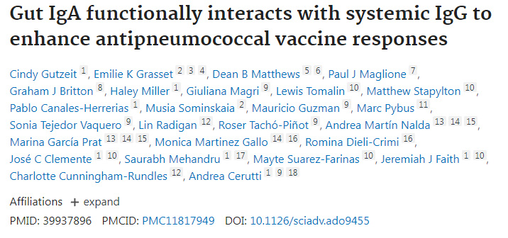 腸道IgA與全身性IgG的功能性互作增強抗肺炎球菌疫苗應答