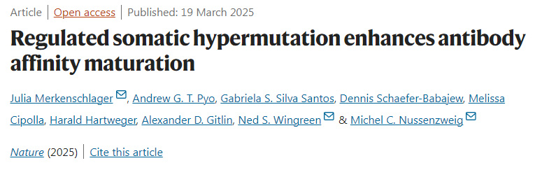 受調控的體細胞高頻突變促進抗體親和力成熟 受調控的體細胞高頻突變促進抗體親和力成熟