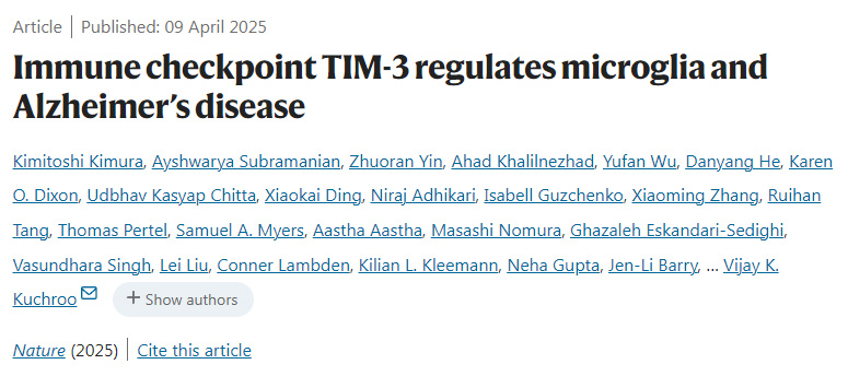 免疫檢查點TIM-3調節小膠質細胞和阿爾茨海默病