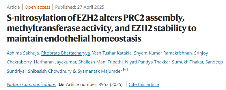 EZH2的S-亞硝基化通過改變PRC2復合物的組裝、甲基轉移酶活性及EZH2的穩定性來維持內皮穩態