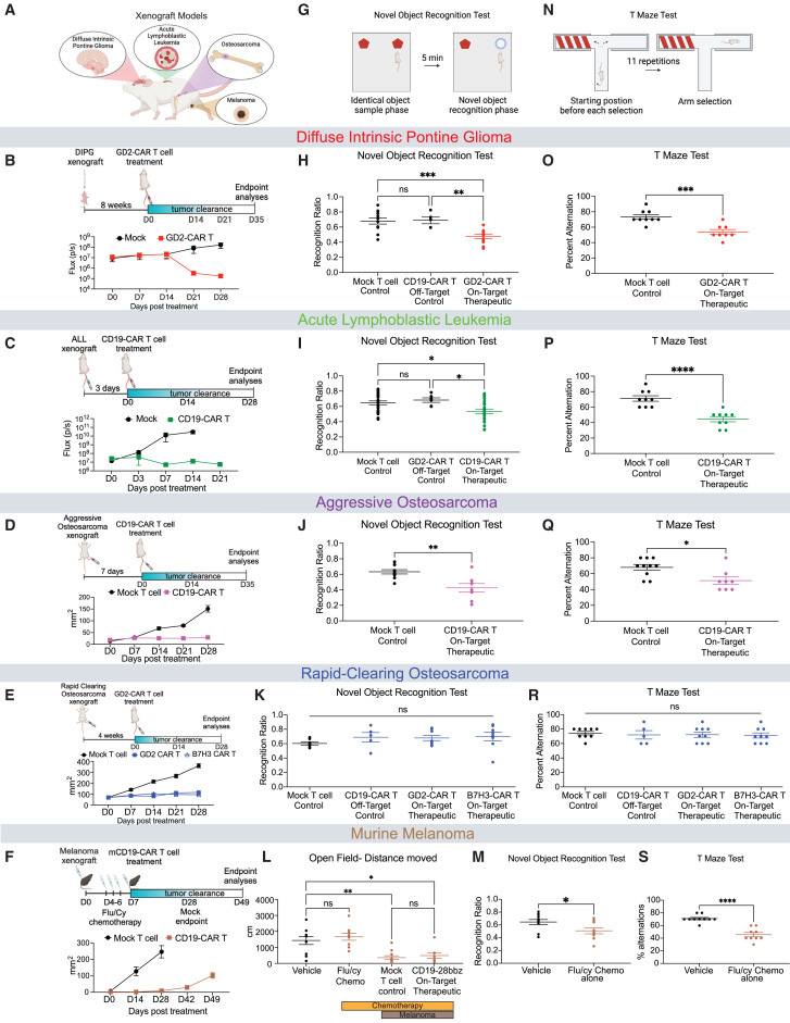清除腫瘤的CAR T細胞治療后認知障礙 清除腫瘤的CAR T細胞治療后認知障礙