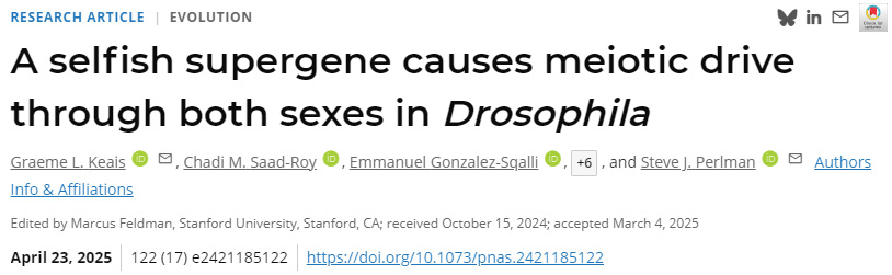  一種自私超基因在果蠅雌雄兩性中引發減數分裂驅動