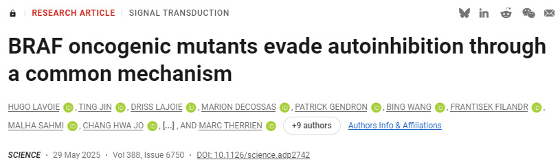 BRAF致癌突變體通過共同機制規避自身抑制