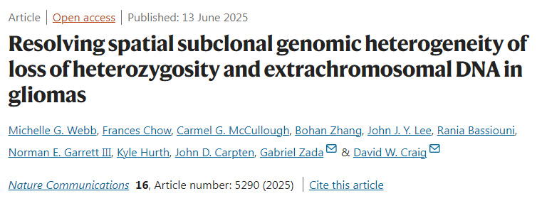 解析膠質瘤中雜合性缺失和染色體外DNA的空間性亞克隆基因組異質性
