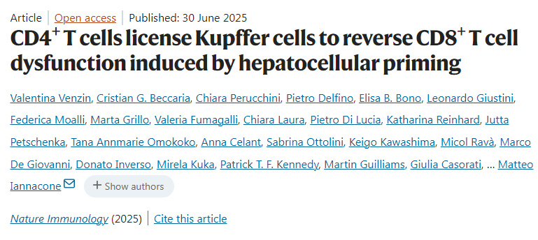 CD4+ T細胞允許庫普弗細胞逆轉(zhuǎn)肝細胞啟動誘導的CD8+ T細胞功能障礙