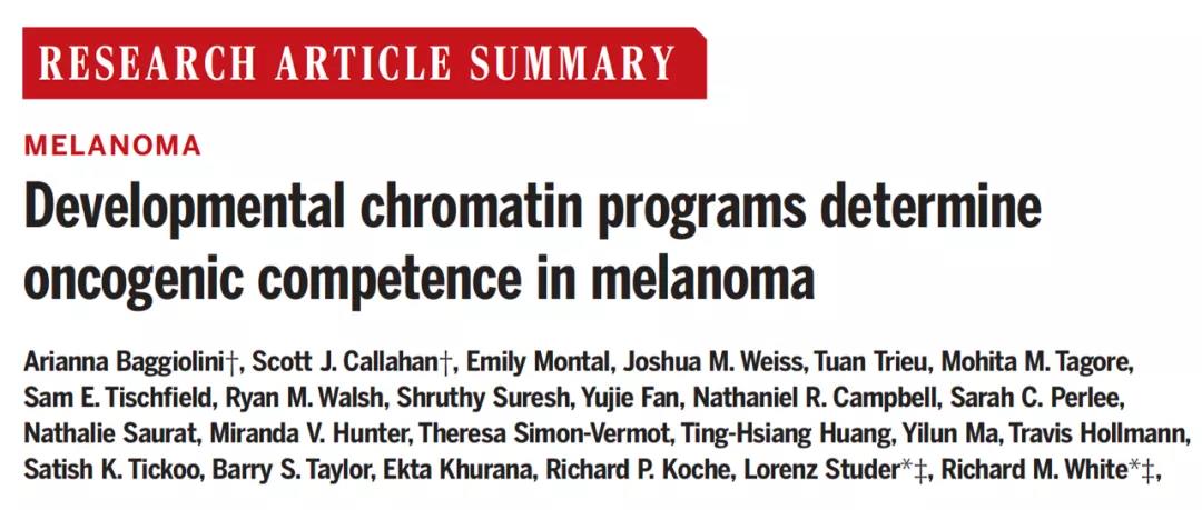 改寫教科書！Science揭示：為什么你體內的癌細胞沒發展成癌癥？