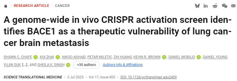 CD4+ T細胞允許庫普弗細胞逆轉肝細胞啟動誘導的CD8+ T細胞功能障礙