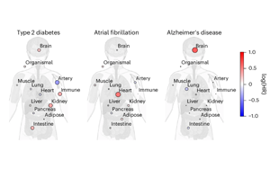 血漿蛋白質組學揭示腦與免疫系統衰老與健康壽命及長壽的關聯機制