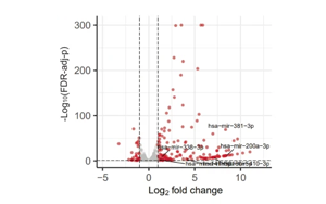 DNA去甲基化通過下調MNX1基因表達治療急性髓系白血病的新機制