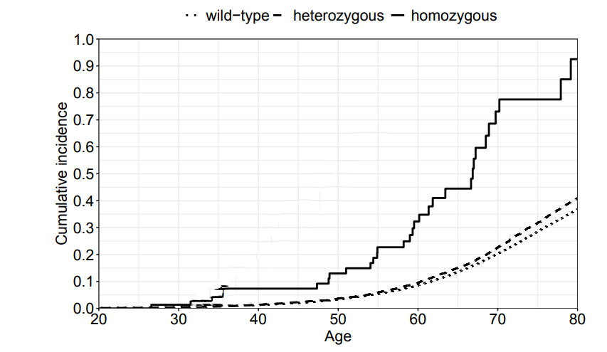 FANCM基因c.5101C>T位點純合突變攜帶者、雜合突變攜帶者及野生型（wt）個體的首次浸潤性癌癥累積發病率