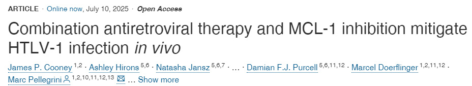 體內(nèi)實(shí)驗(yàn)表明：聯(lián)合抗逆轉(zhuǎn)錄病毒療法與MCL-1抑制可緩解HTLV-1感染