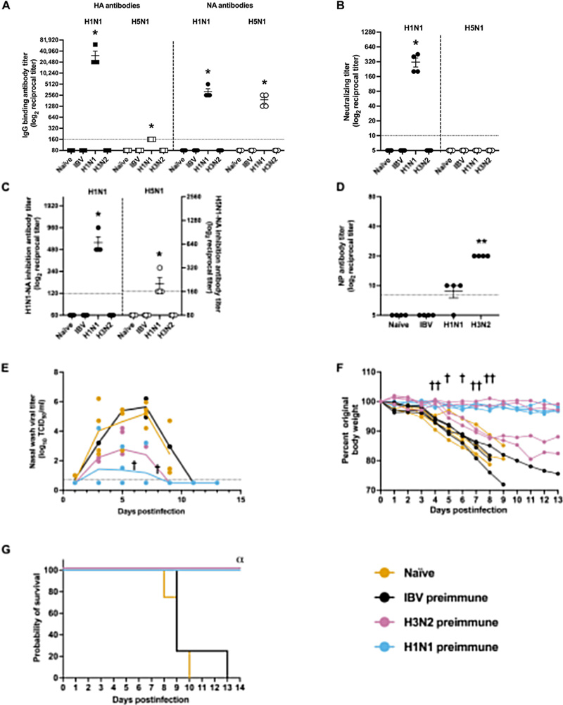 針對季節性H3N2病毒或2009年甲型H1N1流感病毒的預存免疫力，可有效預防雪貂因甲型水貂流感病毒（H5N1）感染引發的嚴重疾病