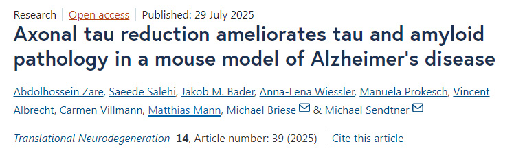 減少軸突Tau蛋白可緩解阿爾茨海默病小鼠模型中的Tau蛋白和淀粉樣蛋白病理